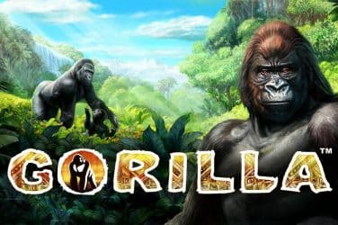 gorilla slot